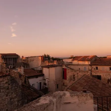 Private Mansion, Completely Renovated With Swimming Pool, In Historical Center Villa Arles