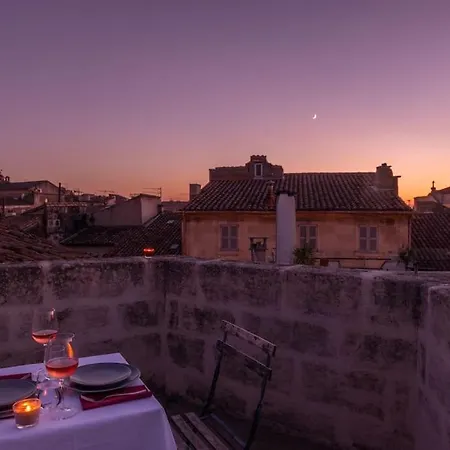 Private Mansion, Completely Renovated With Swimming Pool, In Historical Center Arles